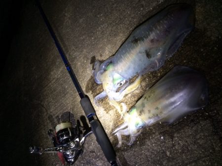 激流撃沈・・・