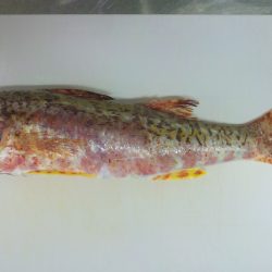 初めての場所で…