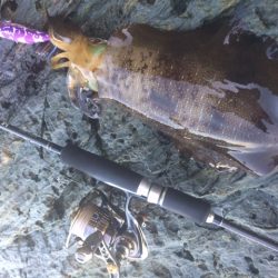 サイズアップ(^^♪