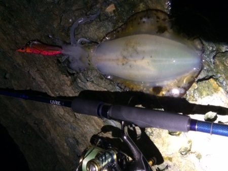 長短時間エギング