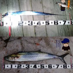 飲ませ激戦区翼港！ビッグな外道に喜び一入！