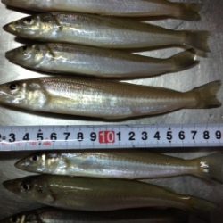 晴天はやっぱり釣りですよね