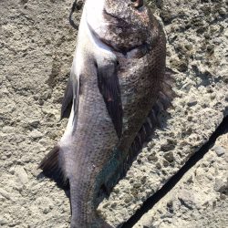 10/18 デイチニング