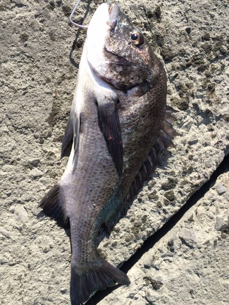 10/18 デイチニング