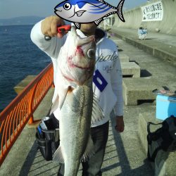 シーバス ドーン!!