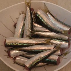 ランガン　サビキ