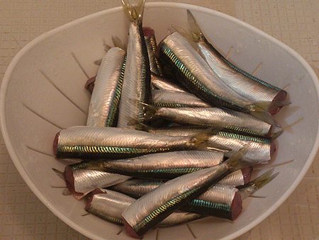 ランガン　サビキ