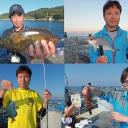 秋波止ターゲット豊富