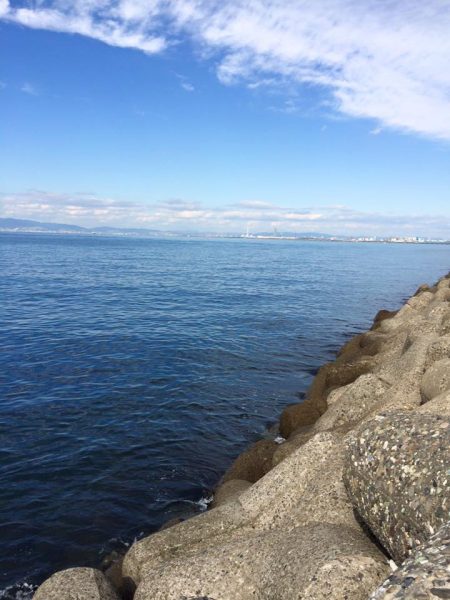 グレがいないのでサヨリ