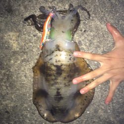 満月を信じて夜まで粘ると…