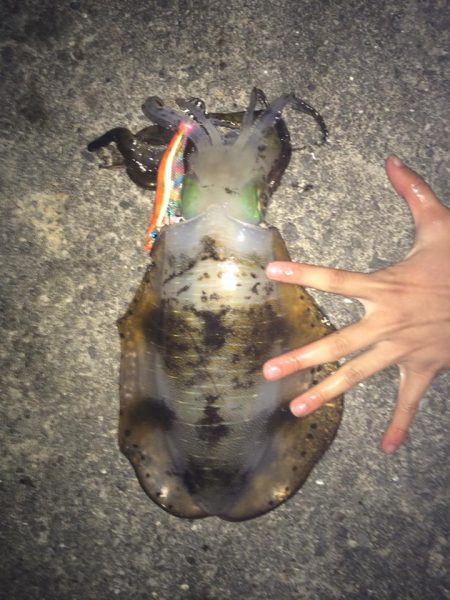 満月を信じて夜まで粘ると…