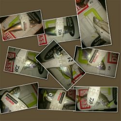 夕マズメからは