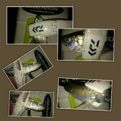 短時間アジング