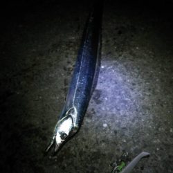 強風の中なんとか！