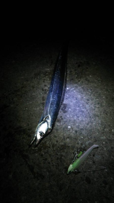 強風の中なんとか！