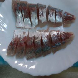 ジギングサビキでまたまたデカアジ