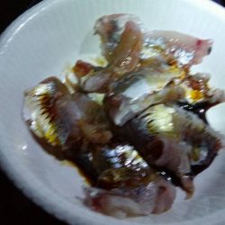 ファミリーフィッシング!!