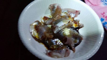 ファミリーフィッシング!!