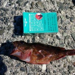 いまいちでした。