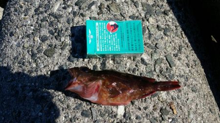 いまいちでした。