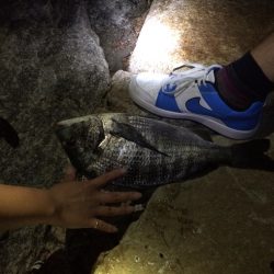 久しぶりの投げ釣り