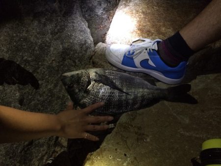 久しぶりの投げ釣り