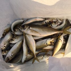 ロケーション最高