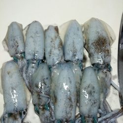 連続釣行２日目