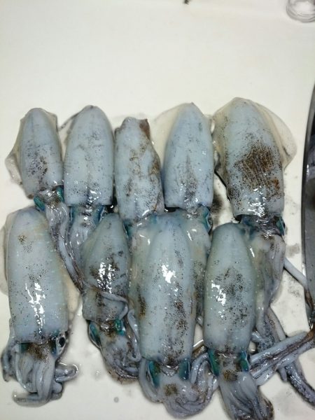 連続釣行２日目