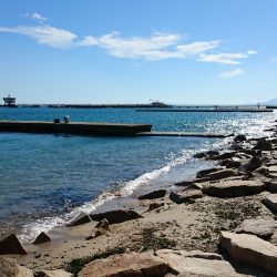 エギングタックルでちょい投げ