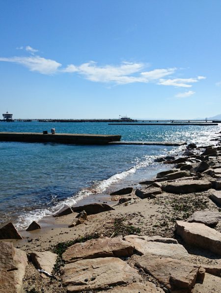 エギングタックルでちょい投げ