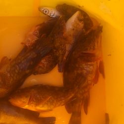 初めての遊漁センター