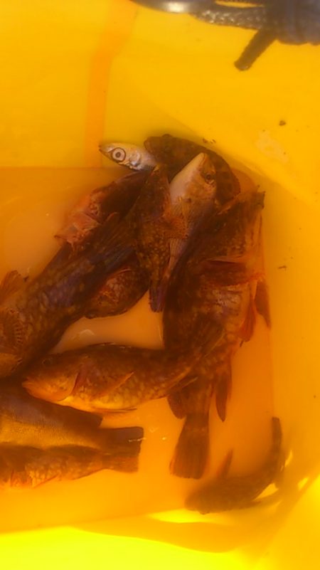 初めての遊漁センター