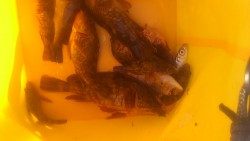 初めての遊漁センター