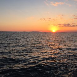 ちいさぃ~(-\”-)