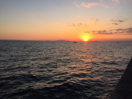 ちいさぃ~(-\”-)