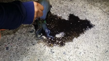 爆弾低気圧　の　前兆・・・。