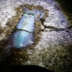 強風の中の　我慢。