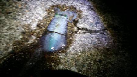 強風の中の　我慢。