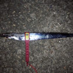 先週とは違い、激渋！