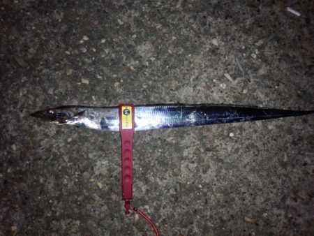 先週とは違い、激渋！