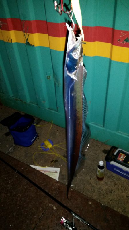 エサ&ワインドで渋い中頑張りました！