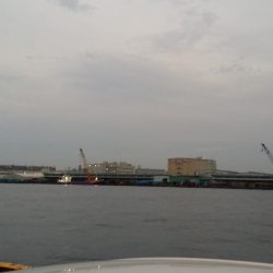 タチウオ活性高いか！？