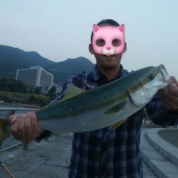 サビキとそのアジでノマセしました