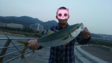 サビキとそのアジでノマセしました