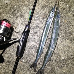 アジングのちメバリングのちサヨリング