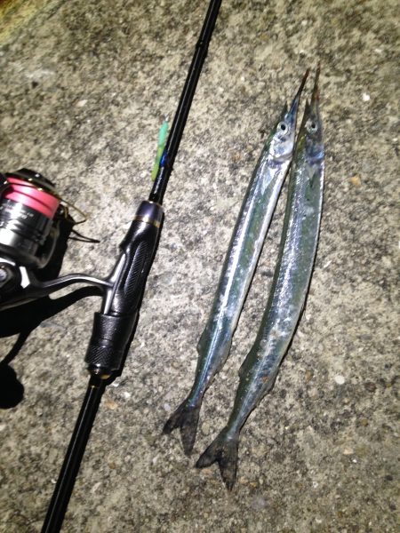 アジングのちメバリングのちサヨリング