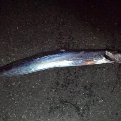 寒くて渋いっ！！