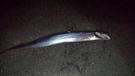 寒くて渋いっ！！