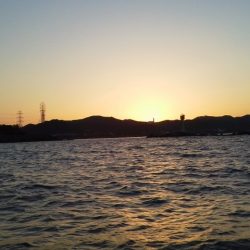 グレ・・・・イサキ・・・・アイコ゛・・・メッキ・・・